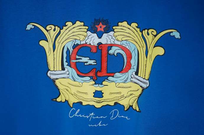 Dior T Shirts Short _SKUDiors-3xl516133859